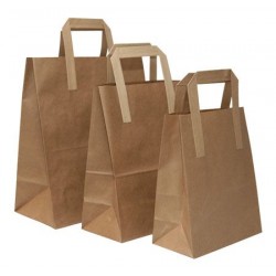 Brown Kraft Paper Carriers Flat Handle